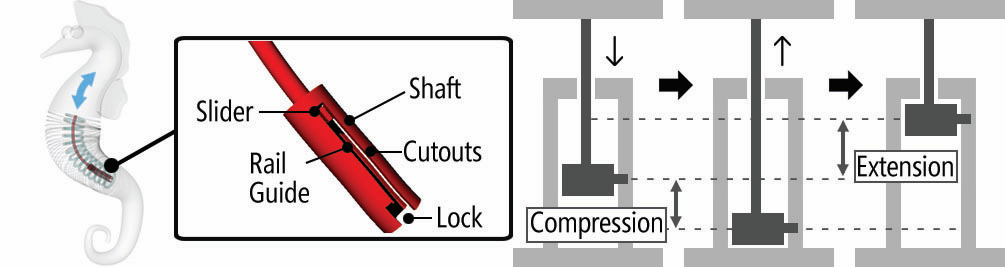 Huaishu Peng | ondule