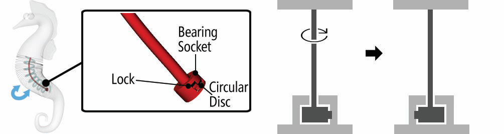 Huaishu Peng | ondule